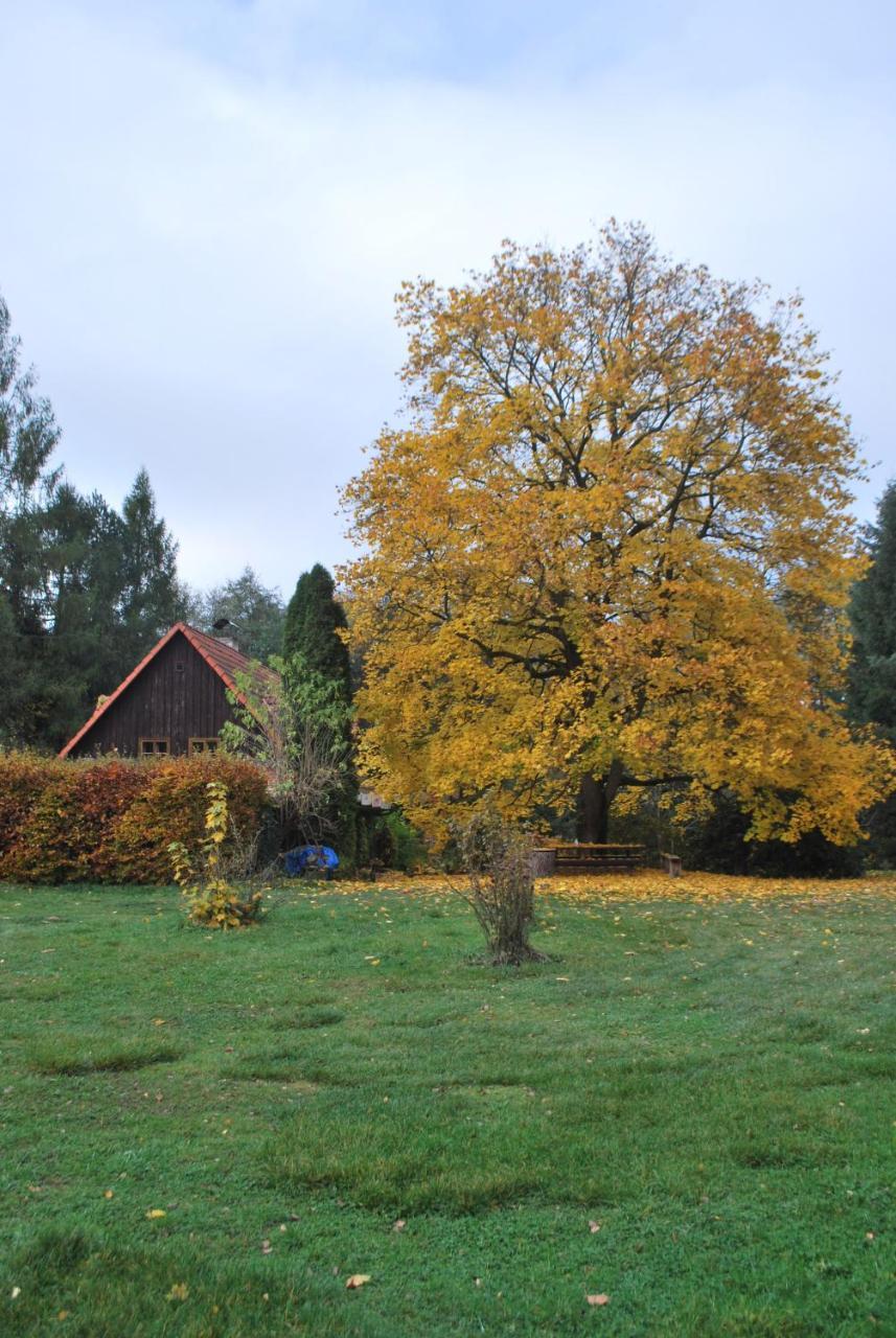 Adrspach U Meieru Pension Buitenkant foto