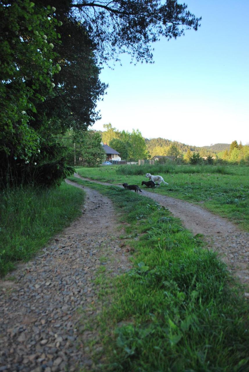 Adrspach U Meieru Pension Buitenkant foto