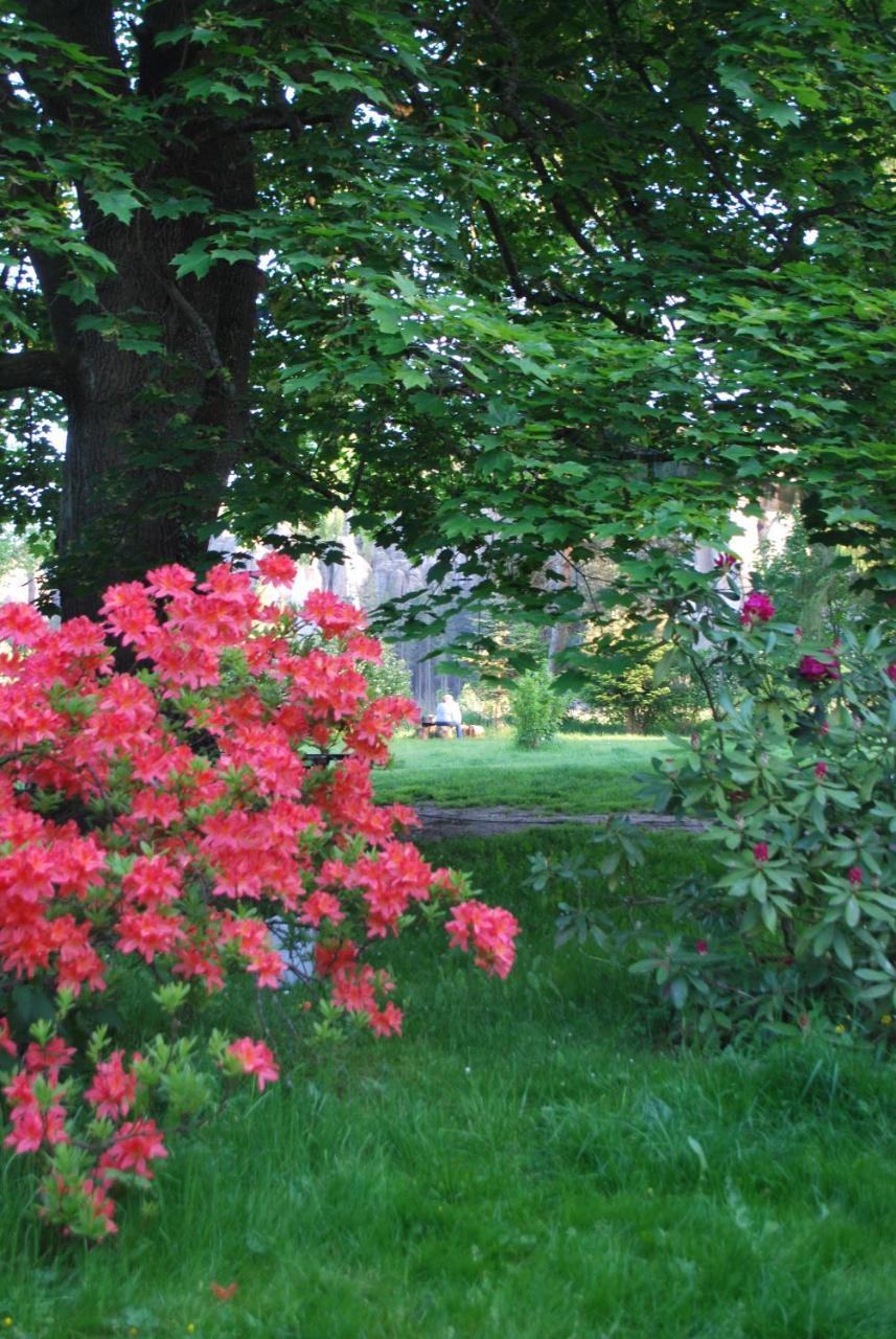 Adrspach U Meieru Pension Buitenkant foto