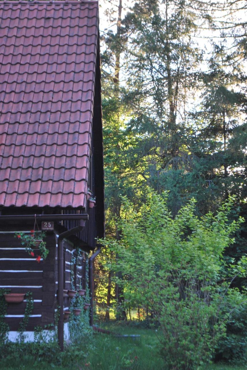 Adrspach U Meieru Pension Buitenkant foto